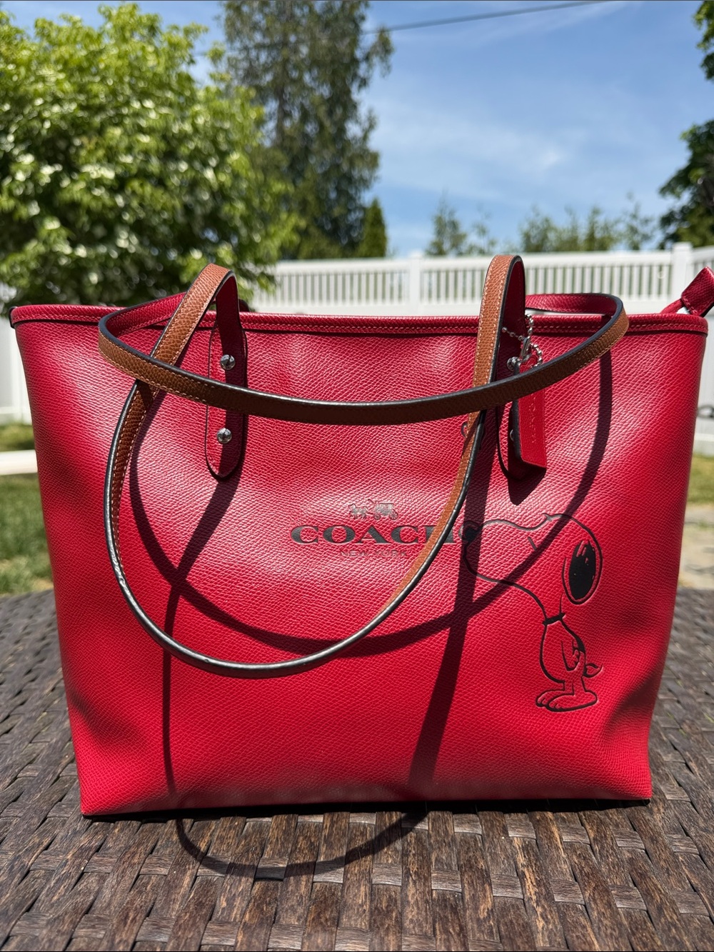 Coach x Peanuts Snoopy City Zip Tote [limited edition]